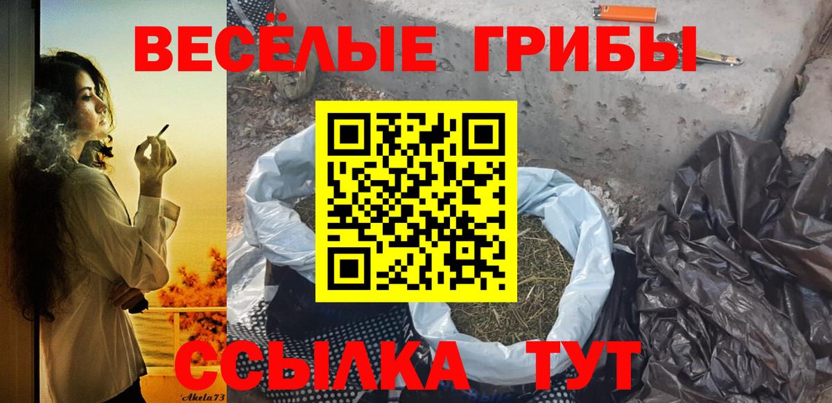 Галлюциногенные грибы Psilocybe  Вход с VPN  Карталы 